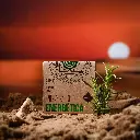 _DSC2236 - copia.webp