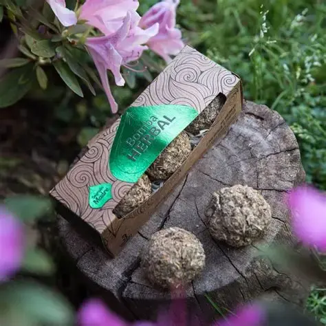 bomba herbal x3.webp