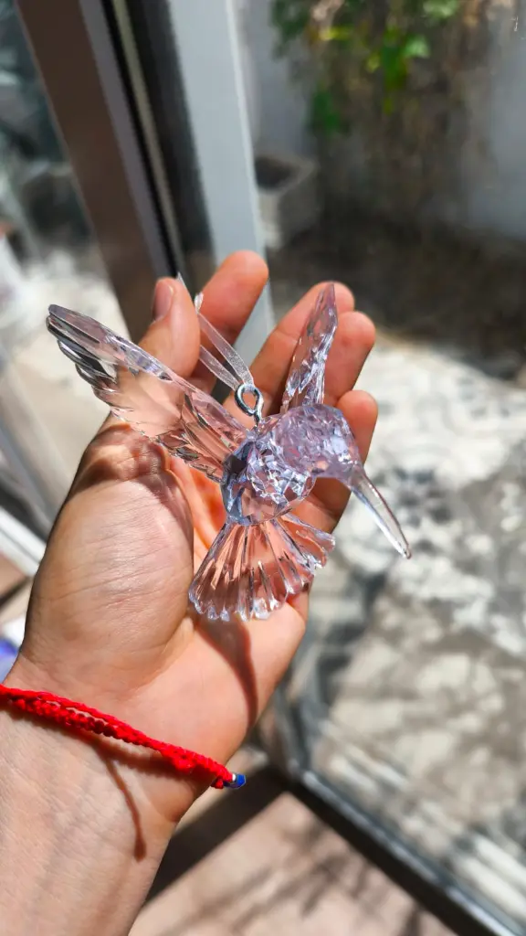 WhatsApp Image 2026-01-22 at 11.17.15.webp