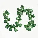 enredadera 1_WEBP.webp