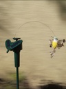 Tutor con Motor Solar/Pila - Colibri 