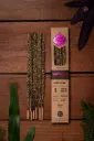 Sahumerios S.M. Natural Patchouli