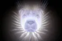 Lámpara 3D León con Efecto de Luz