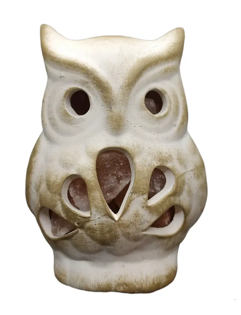 Lámpara de Sal Buho de pétalos 10x15cm