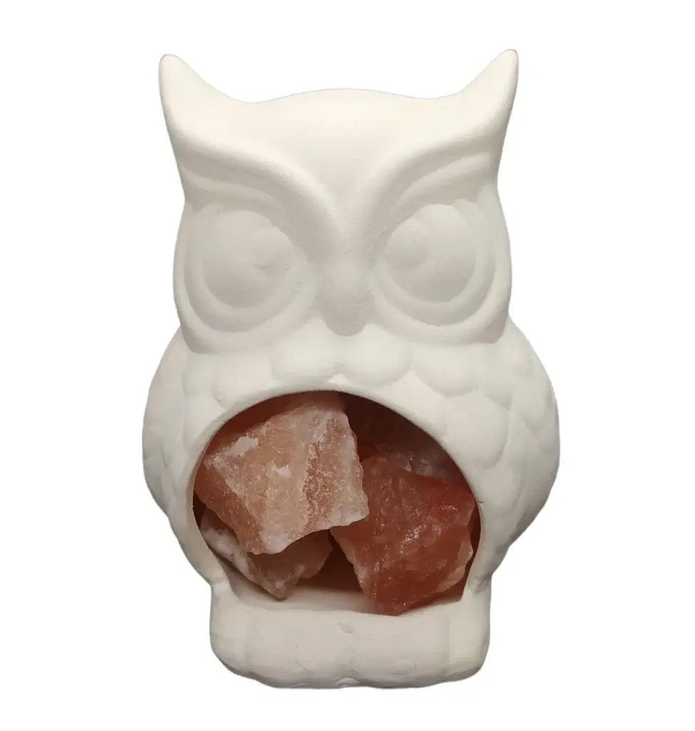 Buho sabiduría 10x15cm