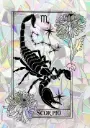 Sticker Suncatcher (Atrapasol) - 038. Signo Escorpio