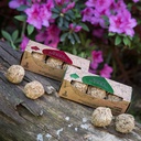 Bombas Herbales x3 S.M.