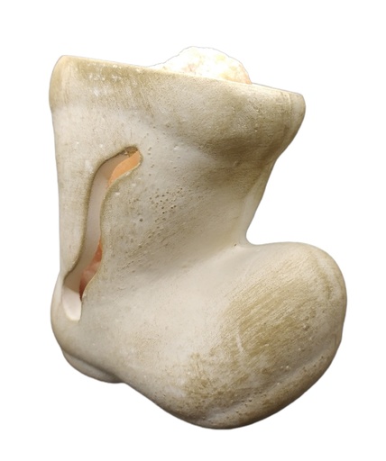 Lámpara de Sal Botita de pétalos 9x7cm
