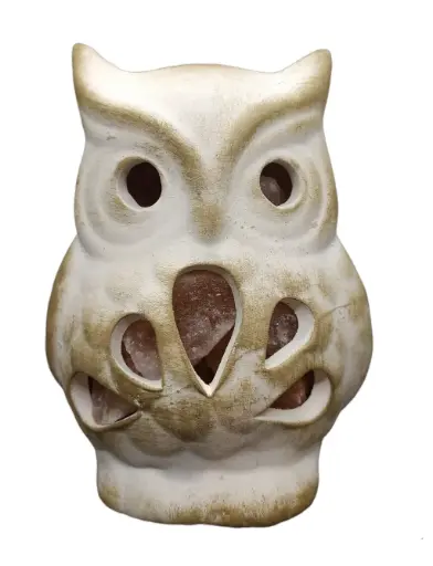 Lámpara de Sal Buho de pétalos 10x15cm