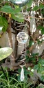 Cola para WindSpinner 25cm (Esfera cristal)