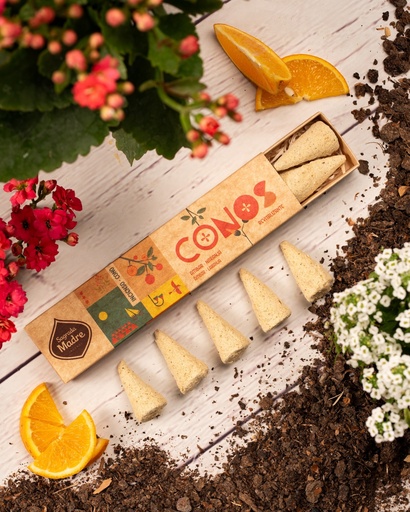 Sahumerios S.M. en Conos - Ámbar & Naranja (8u)