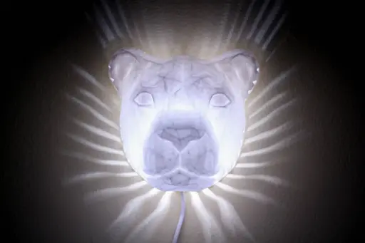 Lámpara 3D León con Efecto de Luz