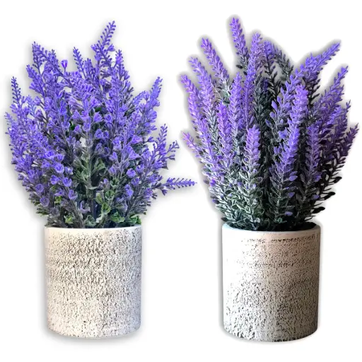 Maceta Cemento Lavanda (24x8cm)