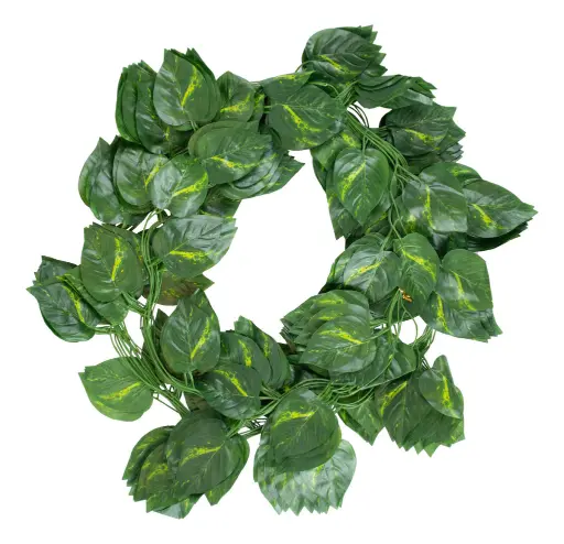 PROMOx12 - Tira De Enredadera (2.2mts)